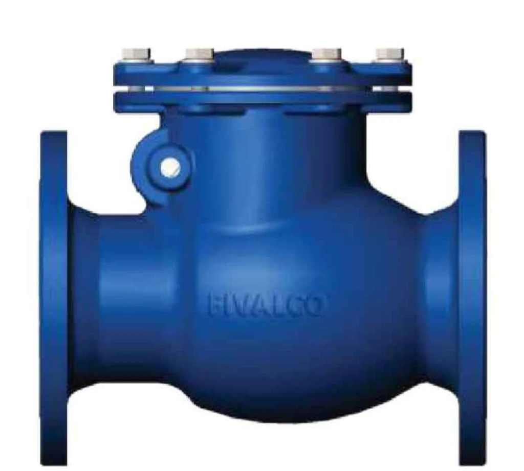 Fivalco Fivalco Swing Check Valve PN16 1 fivalco_swing_check_valve_pn16_copy