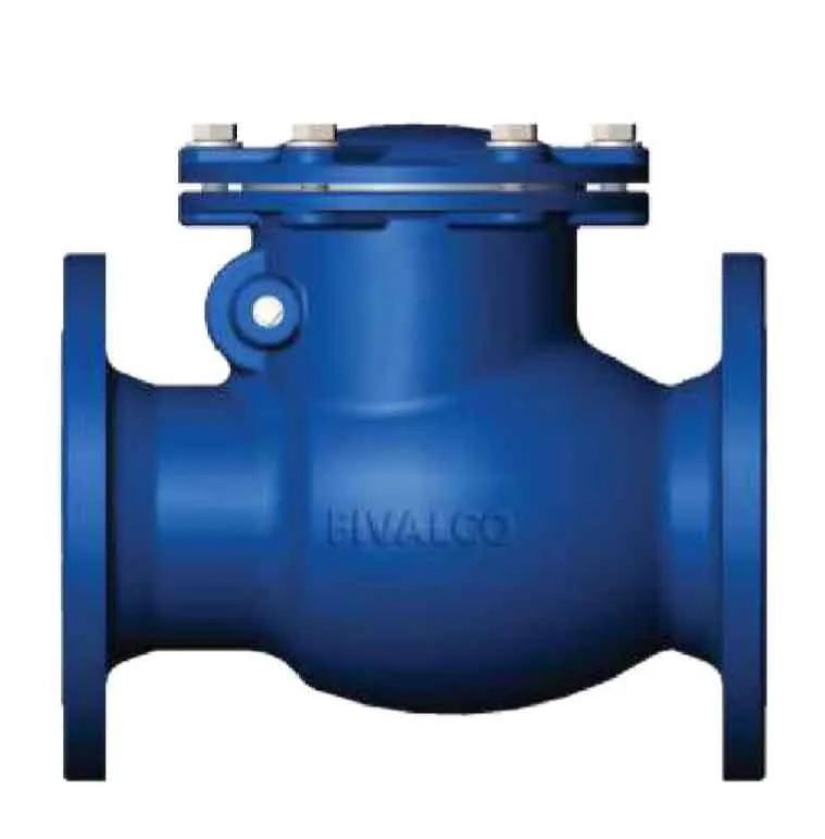 Fivalco Swing Check Valve PN16